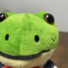 Peluche Rana Rene 35cm Lara con Overol Figura Juguete Suave Al Tacto Calidad Premium Nuevo Moda Regalo Navidad Reyes Magos Dia Del Niño Cumpleaños - Verde - Ver 4