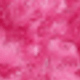 Rosa Fucsia