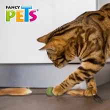 FANCY PETS Catnip Toys - Multicolor - View 6