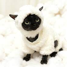 小型和中型无毛斯芬克斯猫绵羊风保暖套装，抓绒猫咪连帽衫外套，亲肤保暖，适合斯芬克斯猫秋冬季穿着，可爱ins风