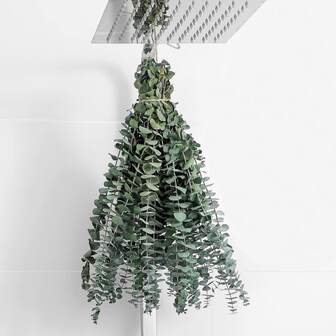 10PCS Dried Eucalyptus Bundle For Shower - 17" Large Preserved Eucalyptus Stems Shower Plant, Fresh Real Eucalyptus Leaves For Shower Hanging, Artificial Flowers Arrangement, Home Bathroom Decor