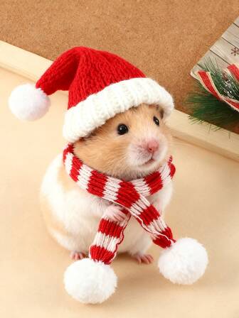 圣诞宠物针织帽围巾套装，可调节尺寸，条纹针织围脖，适合仓鼠、蜥蜴、狨猴、松鼠、鹦鹉等宠物。