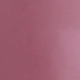 玫瑰 02