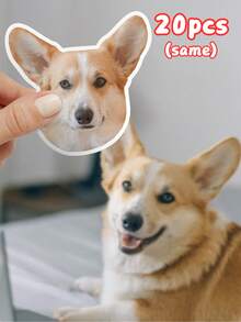 1/5/10/20张定制图片贴纸 | 个性化照片贴纸 | 宠物爱好者礼物 | 纪念贴纸 | 定制贴纸 | 结婚礼物 | 模切贴纸、笔记本电脑贴纸、水杯贴纸、汽车贴纸、定制贴纸、用品、温馨氛围、家居生活、定制贴纸、多功能、装饰性、可重复使用、精致、时尚、高品质、色彩缤纷、现代、定制、个性化、独特、送给他的理想礼物、送给她的理想礼物、男友、爸爸、女友、妈妈、家人、朋友、茶室、家居、花园、办公室、周年纪念日、情人节、母亲节、生日、父亲节、毕业典礼、婚礼、乔迁之喜、剪贴簿和印章供应商 - 彩色 - 查看 12