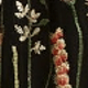 Svart