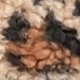 Màu Khaki