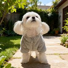 Warm Thermal-Lined Faux Fur Jacket, Teddy Bear Style Winter Coat For Small/Medium Dogs, Soft & Cute Pet Outerwear