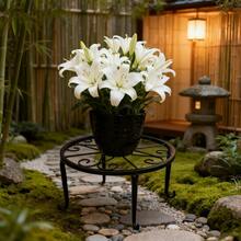[2025 Best-Selling Plant Stands]Pack Of 2 - Black/White Metal Flower Pot Holder, Vintage Style Heavy Duty Pot Plant Holder, Indoor And Outdoor Metal Rustproof Iron Garden Container Round Support Rack, Made Of Heavy-Duty Iron Material, Strong And Durable, Not Easy To Bend Or Break, Wear-Resistant, Resistant To Daily Scratches, Not Easy To Rust And Deteriorate, Presenting A Classic Aesthetics For Holding Potted Plants, Vases, Fruit Baskets, Whisky Barrels, And So On. - Đen/2 chiếc - Xem 8