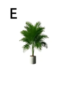 5 件套 - 大型逼真人造植物圣诞松树套装，含 60 片大叶子 - 寓意吉祥的棕榈树和天堂鸟植物，适合户外使用 - 免维护宽叶装饰树，全年家居装饰盆栽，北欧风格人造树，适用于婚礼、酒店等场合 - 彩色 - 查看 12