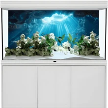 Sunlight Cave, Fish Tank Background Painting, Aquarium Scenery Sticker, High Definition PVC Material, Ornamental Fish Decor, Aquarium Accessories, Suitable For Stream Fish Tank, Planted Fish Tank, Freshwater Tank, Saltwater Tank, Reptile Tank, Professional Aquarium Design, Easy Installation