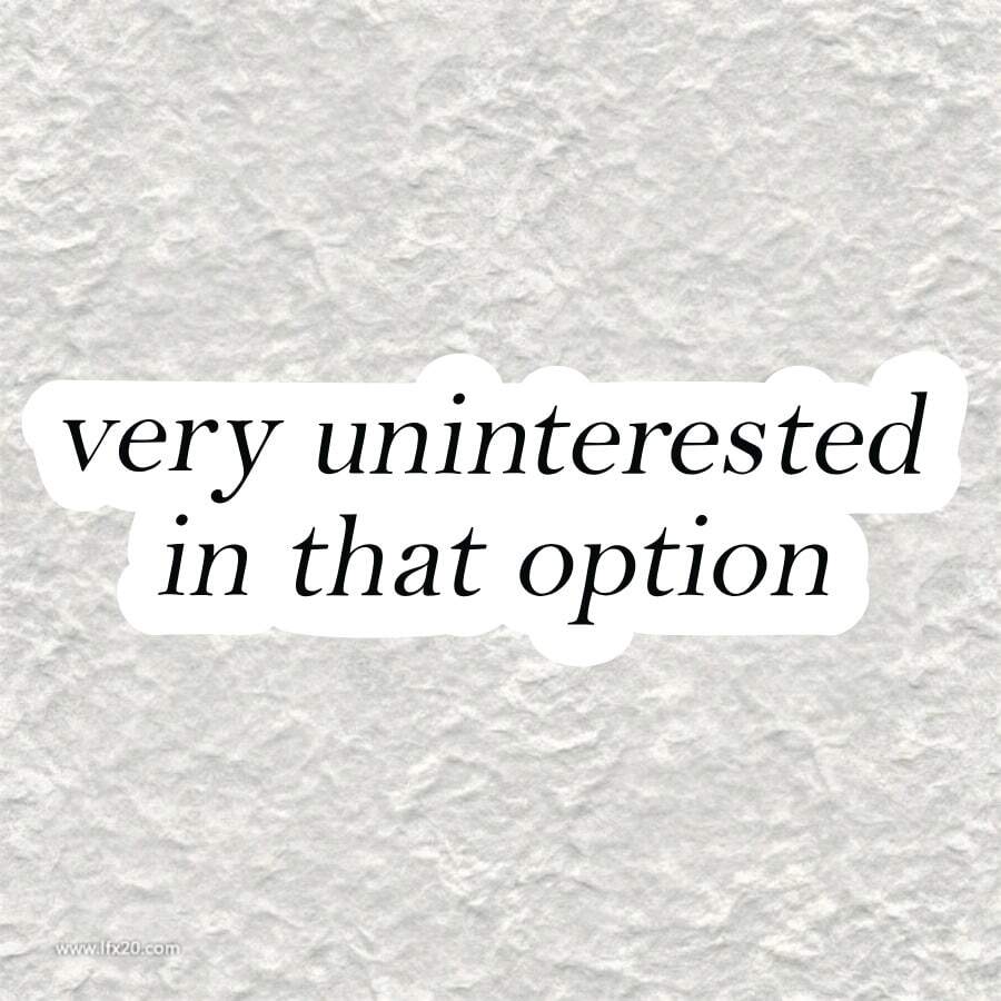 Very Uninteresed In That Option Sticker - Waterproof Vinyl Scratch-Resistant Durable Decal With Cartoon Cat & Flames Design, Matte Finish Asymmetrical Shape Self-Adhesive For Cars, Motorcycles, Laptops, Toolboxes, Guitars, Scooters, Vehicle Decoration, Gadget Decor, Playful Text Decor Scrapbook Supplies Scrapbook Stationery Stickers