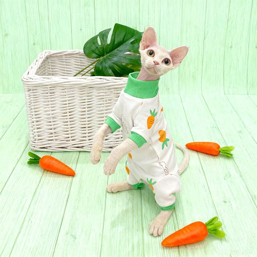 Hairless Cat Clothes, Cartoon Carrot Pattern, Fruit Print Loungewear, Suitable For Small To Medium Cats, Machine Washable - Green - View 1