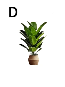 5 件套 - 大型逼真人造植物圣诞松树套装，含 60 片大叶子 - 寓意吉祥的棕榈树和天堂鸟植物，适合户外使用 - 免维护宽叶装饰树，全年家居装饰盆栽，北欧风格人造树，适用于婚礼、酒店等场合 - 彩色 - 查看 16