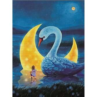 ZUOANLF 1 套 [30 * 40cm/11.8 * 15.7in] [40 * 50cm/15.7 * 19.7in] 无框 11CT/14CT 印花十字绣 DIY 套装，适合成人初学者放松身心，DIY 刺绣。套装包含印花布料、绣针、绣线、图纸和说明书。手工艺术品，家居墙面装饰，馈赠佳品。