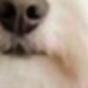 彩色