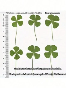 4pcs Acrylic Bookshelf, Adjustable Transparent Bookshelf, Art Display Rack, Desktop Acrylic Bookshelf, Transparent Book Holder, Suitable For Office, Home, Retail Store, Bedroom, Back To School, Comics, CDs, Magazines, Postcards, Artworks, Valentine's Day, Christmas, Halloween Gifts, Transparent Decor