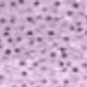 Mauve Purple