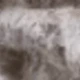 فضي