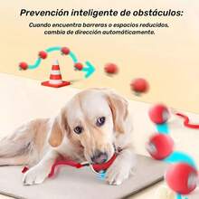 3 piezas Paquete de Juguete de Bola Interactiva Recargable por USB para Gatos, Bola Eléctrica Automática Rodante, Juguete para Perro/Gatito, Regalo de Cumpleaños, Juguete Masticable Inteligente con Cola Automática, Bola de Persecución Inteligente de unicolor para Gatos, Juguete Interactivo para Gatos, Juguete para Gatos Adultos - Multicolor - Ver 3