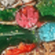 Nhiều màu
