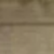Nâu