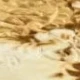 النموذج 5