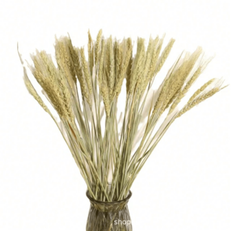 40/80/120 Pcs Natural Dried Wheat Bouquet, Dried Wheat Flowers, Dried Flowers And Grass Bouquet, Suitable For Vase, Kitchen, Office, Home Decor, Wedding Decor, Wreath, Center Piece, DIY Floral Craft Material, Boho Style Decorative Bouquet