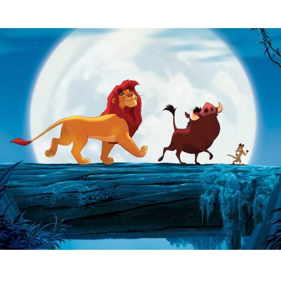 Disney Painting By Numbers Pictures Of The Lion King Hakuna Matata 50x40 Cm - one-size - View 1