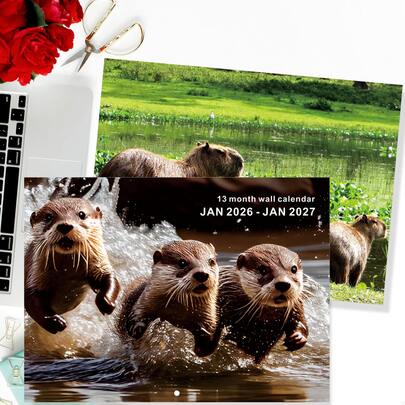 2026年水獭主题16页高清水獭图片挂历