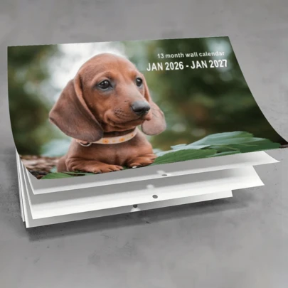 2026年狗狗英文挂历，动物风格月历，可爱宠物，欧美风格