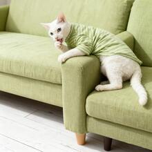 Classic Striped Two-Leg Jumpsuit Cat Clothes, Suitable For Sphynx And Small/Medium Cats, Machine Washable, Suitable For All Seasons