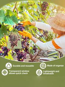 50个/套果树防护网袋，花园网状屏障袋，保护植物免受鸟类、松鼠侵害，带抽绳果树罩网袋，花园果蔬防护罩