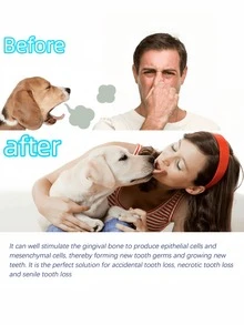 宠物牙膏，宠物牙齿清洁牙膏，修复牙齿，美白牙齿，去除牙菌斑和牙渍，呵护牙龈。宠物牙膏牙刷套装，适用于猫狗，去除牙菌斑和牙渍，消除口臭，最佳宠物口腔护理套装，口腔护理和清洁，减少牙垢和牙结石，适用于幼猫、幼犬和成年猫狗。