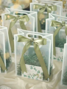 1个时尚透明手提礼品袋，PVC材质，适用于创意礼品、DIY项目和活动装饰，是艺术爱好者、工艺品展销会和节日送礼（复活节、圣诞节）的理想之选——激发您的送礼创意，是艺术家必备，也是送给工艺爱好者的完美礼物。#时尚礼品袋 #创意礼品 #DIY项目 #艺术爱好者 #工艺爱好者礼物 - 彩色 - 查看 5