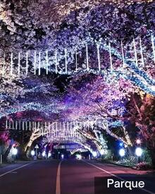 Tira de Luces Guirnalda 262 Luces Digitales Navideñas  LED Max  Efecto meteoro 3 metros  Dosyu Lluvia Serie 8 Tubos 30cm - Blanco Frío - Ver 6