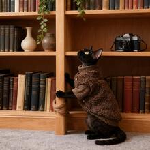 2pcs Winter Sweater & Vest Set, Hoodie Sweater And Fleece Button Vest, Suitable For Small To Medium Cats, Hairless Cats