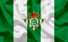 Real Betis Balompié 正品貝蒂斯官方原廠耳機，品質保證。男女通用成人款，綠色，均碼。值得信賴的品質。 - CASCO REAL BETIS - 查看 3