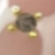 Trắng JP3855