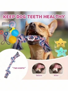 10件套耐咬狗狗磨牙玩具套装，毛绒+绳子+TPR+硅胶材质，小型犬牙齿清洁磨牙玩具，非电动，适合幼犬玩耍和增进感情