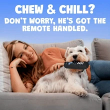 1 brinquedo de tecido realista com controle remoto para mastigar e emitir som, brinquedo interessante para cães, fofo para filhotes e cães adultos, material de poliéster durável, adequado como presente de aniversário para cães de pequeno, médio e grande porte, brinquedo interativo para mastigar e emitir som para animais de estimação - Multicolorido - Ver 8