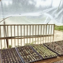 Waterproof & Windproof &Snowproof Heavy-Duty Clear Vinyl Tarp - Perfect For Greenhouses, Gardens, Patios, Pavilions & Camping Cars - Multicolor - View 3