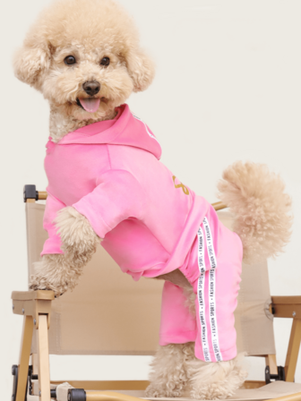 Nuevas prendas para mascotas - perros y gatos con cuatro patas, de tela ultra suave con letras impresas, puños elásticos, diseño con capucha, rayas de bloques de color y banda elástica en la cadera | Para uso en todas las estaciones (rosa, morado, azul claro, azul) - Adecuado para gatos y perros pequeños/medianos (Teddy, Bichon Frise, Yorkshire Terrier, Chihuahua)