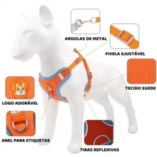 Chest Harness And Leash Set For Dogs And Cats – Comfortable, , And Adjustable For Small And Medium-Sized Pets. - 橘色 - 查看 3
