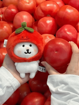 10cm Cute Tomato Head Doll, Highly Attractive Self-Mockery Doll Clothes, Cute Gift (Random Small Grass On Head)