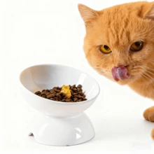 1pc Ceramic Raised Pet Bowl, Cat Dog Food Water Dish, Elevated Stand, Neck Protection, Suitable For Kittens And Adult Cats