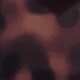 Letter Hawksbill