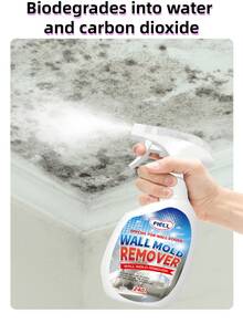 1瓶240毫升墙面及室内涂鸦污渍霉菌去除喷雾，长效防霉清洁剂，有效去除墙面霉菌和真菌污渍，适用于厨房、浴室、客厅、餐厅等潮湿区域，家用清洁工具，必备家居用品，馈赠亲友的理想之选