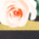 彩色