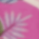 紫丁香