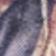 6 pzas